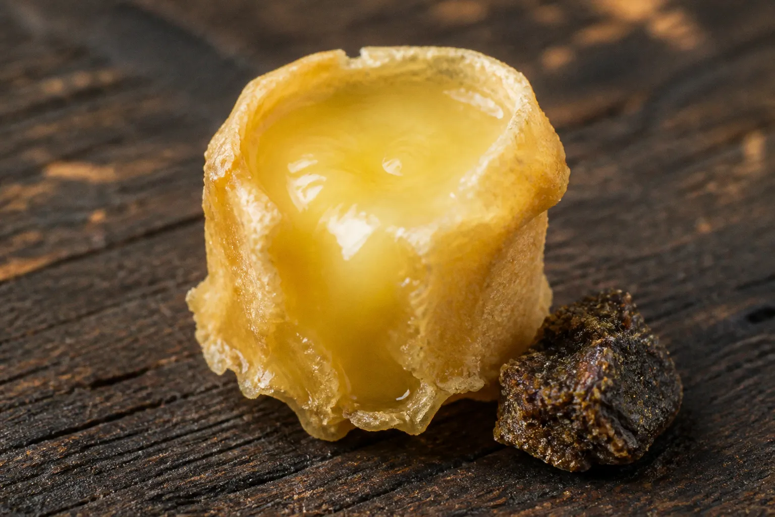 Gelée royale ou propolis : quel bouclier choisir pour l'hiver ?