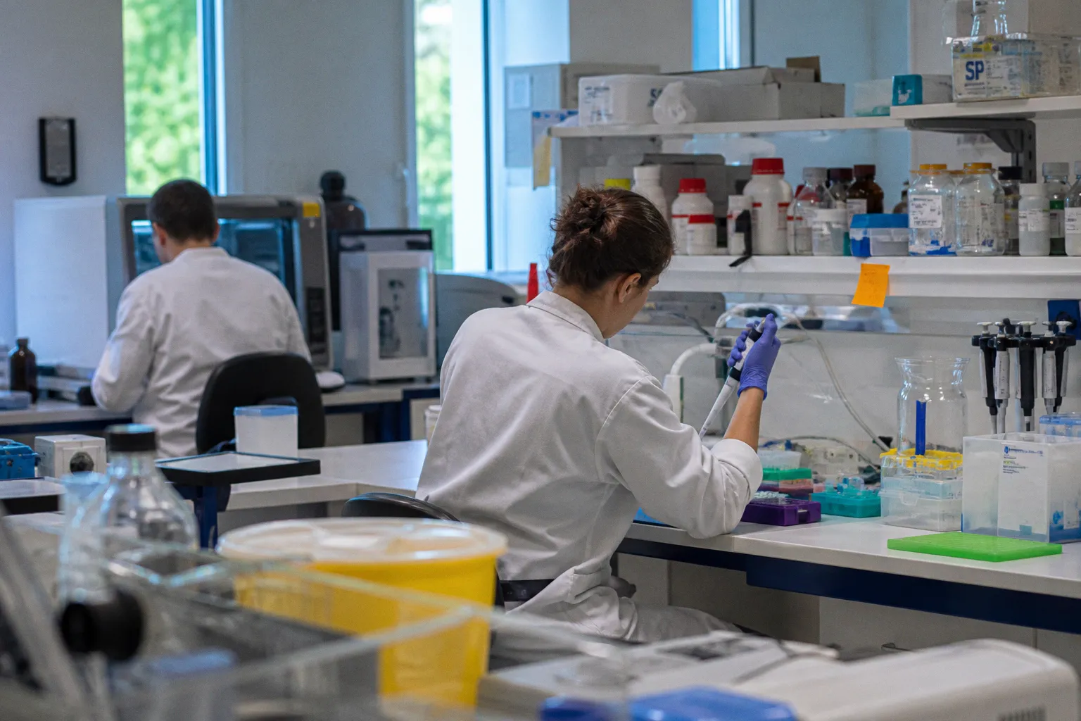 Probiotiques et santé mentale : que disent réellement les dernières études scientifiques ?