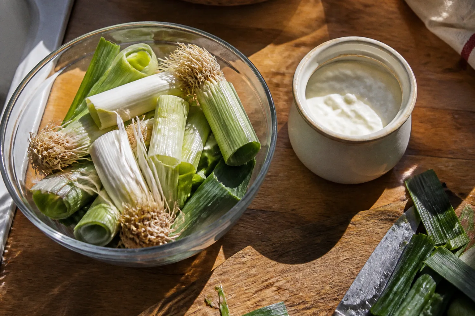 Probiotiques ou prébiotiques : quel choix pour le microbiote ?